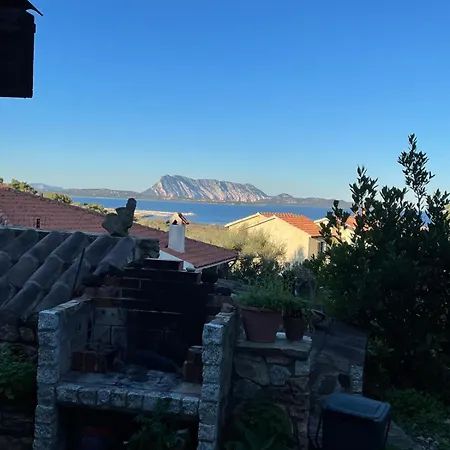 Mustaro R San Teodoro (Sardinia)