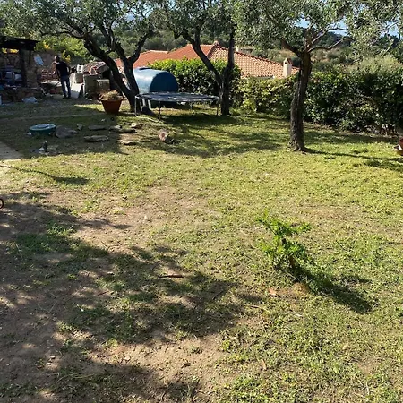 Mustaro R San Teodoro (Sardinia)