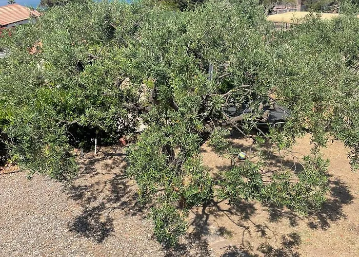 Mustaro R Сasa de vacaciones