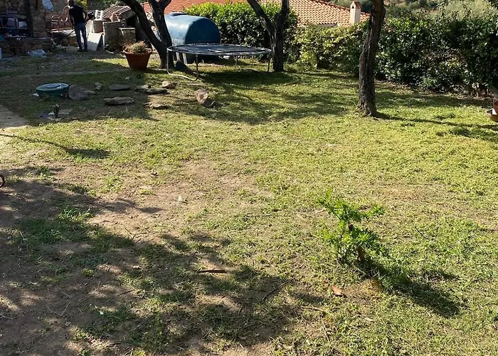 Mustaro R San Teodoro (Sardinia)