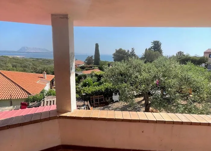 Сasa de vacaciones Mustaro R *