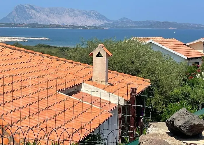 Mustaro R * San Teodoro (Sardinia)